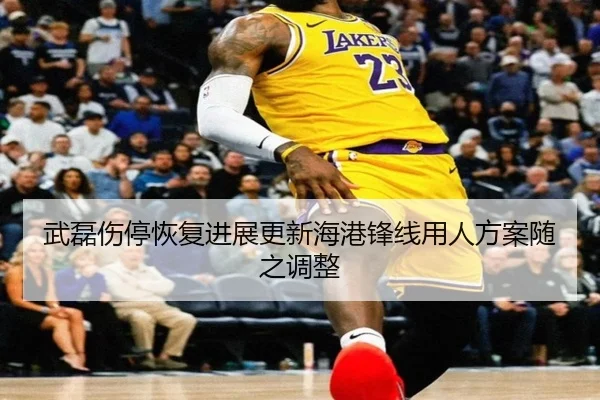 武磊伤停恢复进展更新海港锋线用人方案随之调整